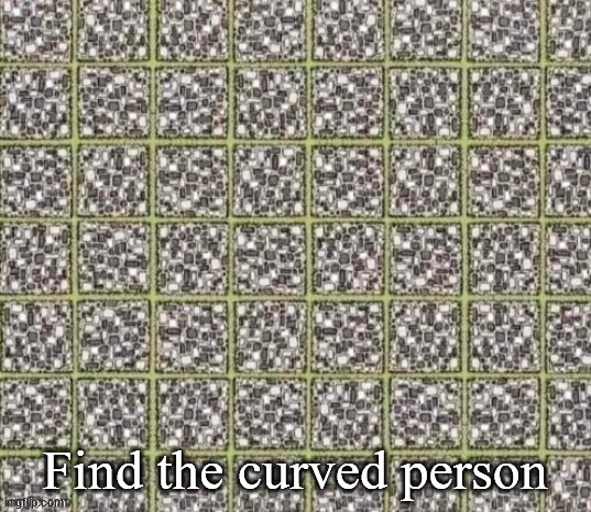 Find the curved line or die | Find the curved person | image tagged in find the curved line or die | made w/ Imgflip meme maker