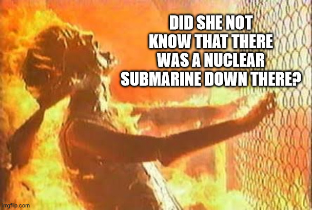 Terminator Fence | DID SHE NOT KNOW THAT THERE WAS A NUCLEAR SUBMARINE DOWN THERE? | image tagged in terminator fence | made w/ Imgflip meme maker
