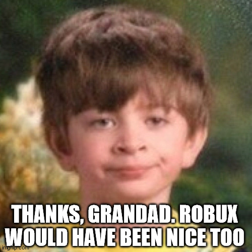 Annoyed | THANKS, GRANDAD. ROBUX WOULD HAVE BEEN NICE TOO | image tagged in annoyed | made w/ Imgflip meme maker