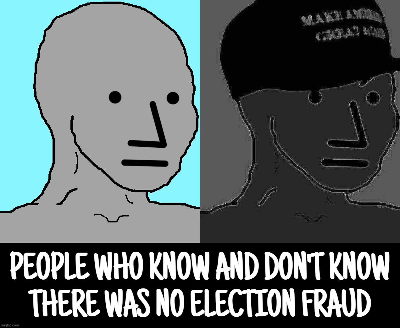 if ya dont know, now ya know... | PEOPLE WHO KNOW AND DON'T KNOW
THERE WAS NO ELECTION FRAUD | image tagged in memes,npc,we are not the same | made w/ Imgflip meme maker