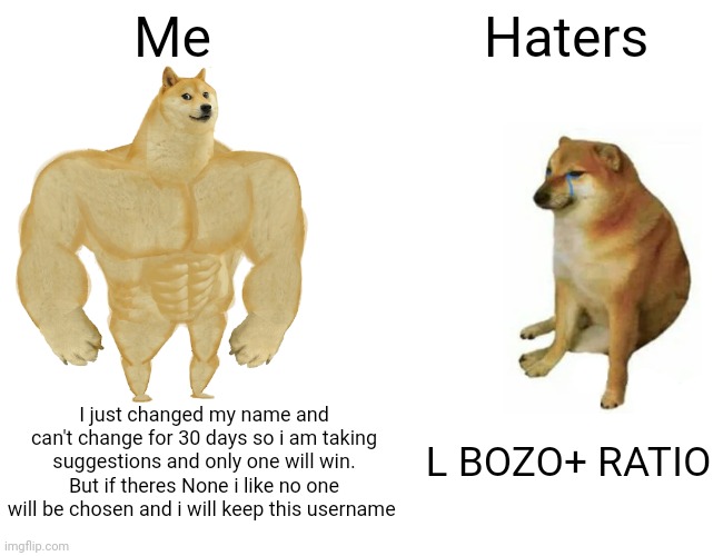 Buff Doge vs. Cheems Meme | Me; Haters; I just changed my name and can't change for 30 days so i am taking suggestions and only one will win. But if theres None i like no one will be chosen and i will keep this username; L BOZO+ RATIO | image tagged in memes,buff doge vs cheems | made w/ Imgflip meme maker