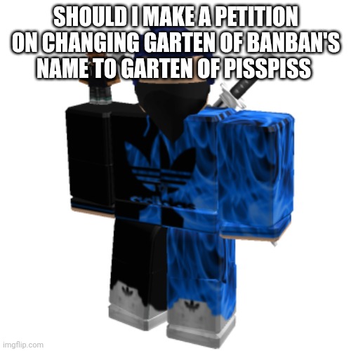 (mod note:no because it's dumb as fuck) | SHOULD I MAKE A PETITION ON CHANGING GARTEN OF BANBAN'S NAME TO GARTEN OF PISSPISS | image tagged in zero frost | made w/ Imgflip meme maker