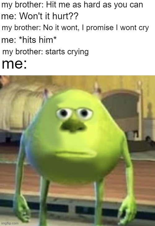 bro- | my brother: Hit me as hard as you can; me: Won't it hurt?? my brother: No it wont, I promise I wont cry; me:; me: *hits him*; my brother: starts crying | image tagged in funny,memes,sully wazowski,bruh,siblings,bruh moment | made w/ Imgflip meme maker