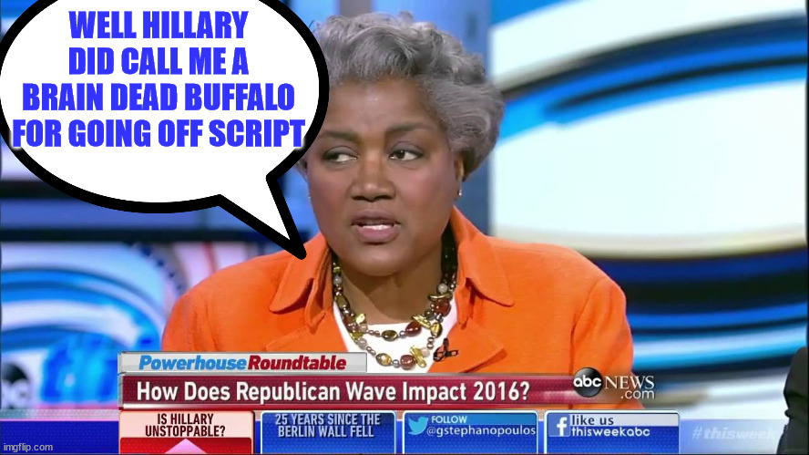 Donna B Rat | WELL HILLARY DID CALL ME A BRAIN DEAD BUFFALO FOR GOING OFF SCRIPT | image tagged in donna b rat | made w/ Imgflip meme maker