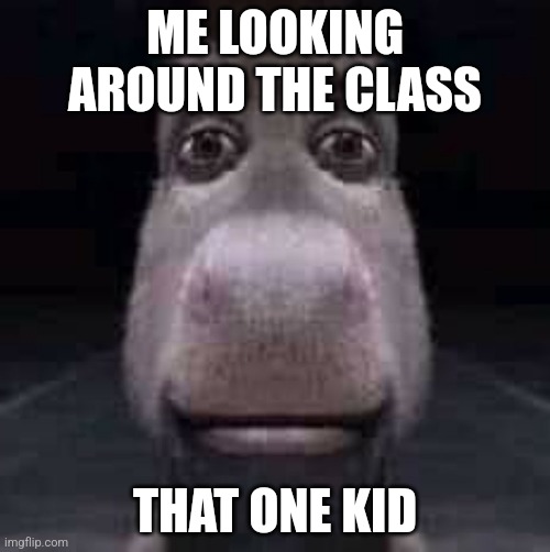 Donkey staring | ME LOOKING AROUND THE CLASS; THAT ONE KID | image tagged in donkey staring | made w/ Imgflip meme maker