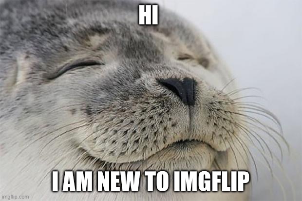 Satisfied Seal Meme | HI; I AM NEW TO IMGFLIP | image tagged in memes,satisfied seal | made w/ Imgflip meme maker