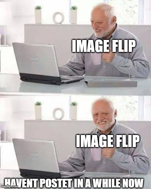 Hide the Pain Harold | IMAGE FLIP; IMAGE FLIP; HAVENT POSTET IN A WHILE NOW | image tagged in memes,hide the pain harold | made w/ Imgflip meme maker