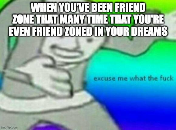 true story :c | WHEN YOU'VE BEEN FRIEND ZONE THAT MANY TIME THAT YOU'RE EVEN FRIEND ZONED IN YOUR DREAMS | image tagged in excuse me wtf | made w/ Imgflip meme maker