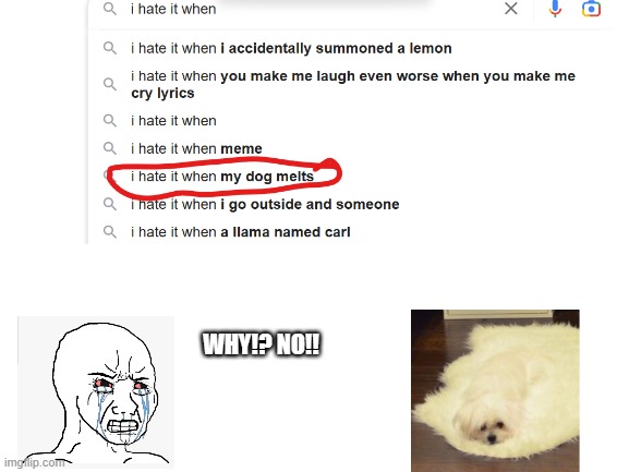 its so bad when my dog melts | WHY!? NO!! | image tagged in i hate it when,memes,relatable,sad | made w/ Imgflip meme maker