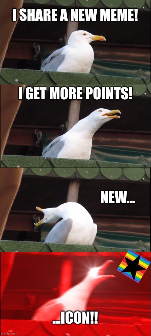 icon :) | I SHARE A NEW MEME! I GET MORE POINTS! NEW... ...ICON!! | image tagged in memes,inhaling seagull,funny,funny memes,icon,imgflip | made w/ Imgflip meme maker