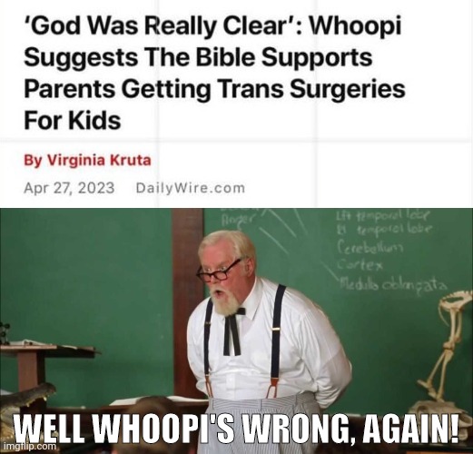 Whoopi doesn't get anything right | WELL WHOOPI'S WRONG, AGAIN! | image tagged in memes | made w/ Imgflip meme maker