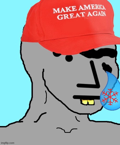 MAGA NPC | image tagged in maga npc | made w/ Imgflip meme maker