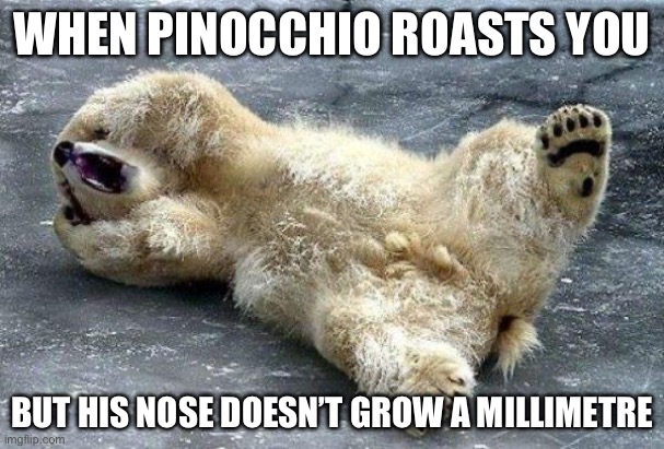 I feel like I’ve seen this before | WHEN PINOCCHIO ROASTS YOU; BUT HIS NOSE DOESN’T GROW A MILLIMETRE | image tagged in oh nooo polar bear | made w/ Imgflip meme maker