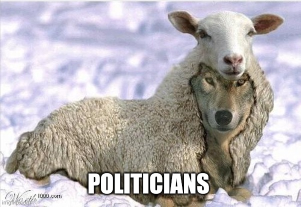 Wolf In Sheeps Clothing | POLITICIANS | image tagged in wolf in sheeps clothing | made w/ Imgflip meme maker
