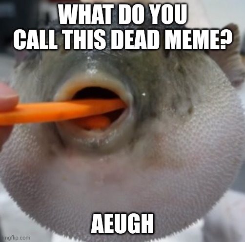 pufferfish eating carrot | WHAT DO YOU CALL THIS DEAD MEME? AEUGH | image tagged in fishing for downvotes | made w/ Imgflip meme maker