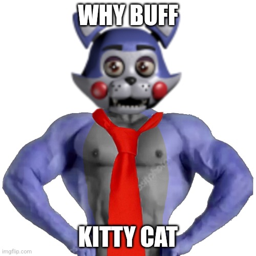 Why Buff Kitty Cat Imgflip