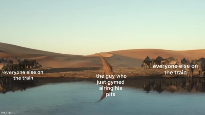 image tagged in memes | made w/ Imgflip meme maker
