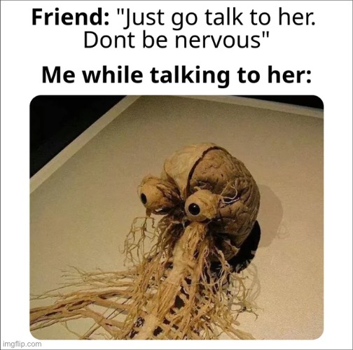 image tagged in memes | made w/ Imgflip meme maker