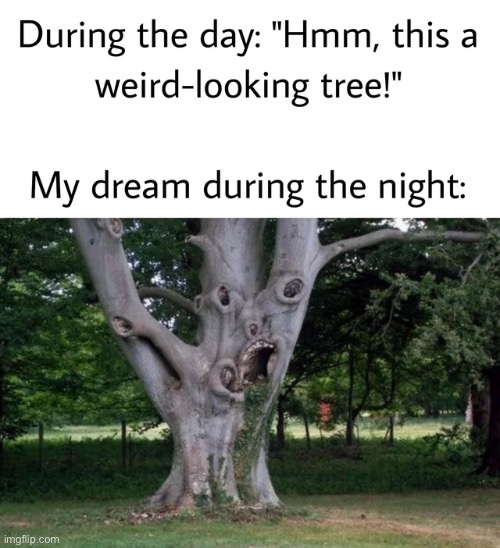 image tagged in memes | made w/ Imgflip meme maker