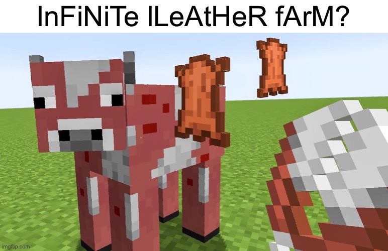 InFiNiTe lLeAtHeR fArM? | image tagged in minecraft,memes,funny | made w/ Imgflip meme maker