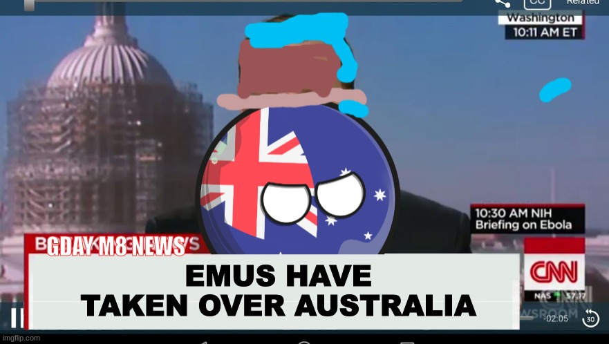 Lesson learned, Sheeps are more tolerable than Emus | EMUS HAVE TAKEN OVER AUSTRALIA; GDAY M8 NEWS | image tagged in australiaball news | made w/ Imgflip meme maker