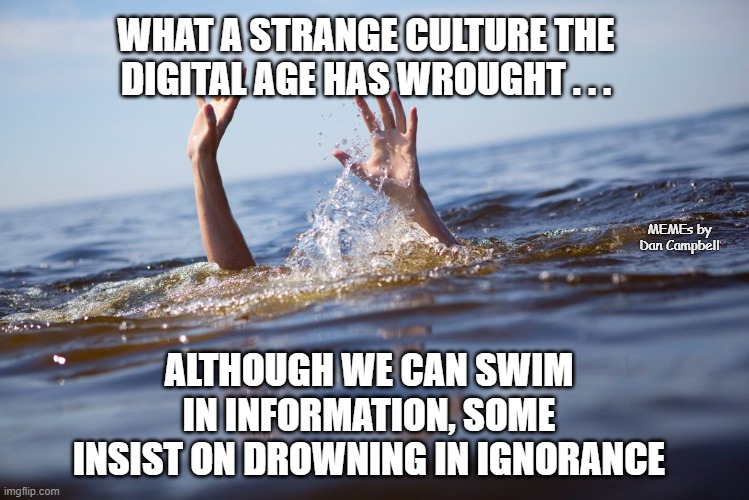 drowning | WHAT A STRANGE CULTURE THE DIGITAL AGE HAS WROUGHT . . . MEMEs by Dan Campbell; ALTHOUGH WE CAN SWIM IN INFORMATION, SOME INSIST ON DROWNING IN IGNORANCE | image tagged in drowning | made w/ Imgflip meme maker
