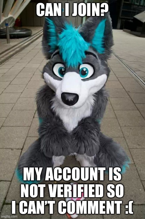 Furry | CAN I JOIN? MY ACCOUNT IS NOT VERIFIED SO I CAN’T COMMENT :( | image tagged in furry | made w/ Imgflip meme maker