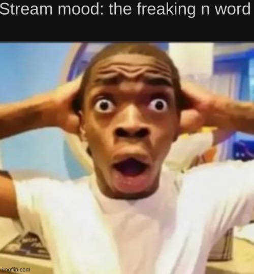 the n wodr | made w/ Imgflip meme maker