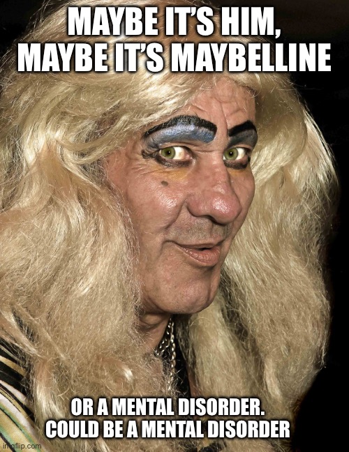 Maybe it’s Maybelline | MAYBE IT’S HIM, MAYBE IT’S MAYBELLINE; OR A MENTAL DISORDER. COULD BE A MENTAL DISORDER | image tagged in tranny,maybe,mental illness,aight ima head out | made w/ Imgflip meme maker
