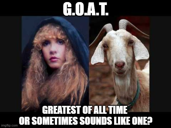 G.O.A.T. | G.O.A.T. GREATEST OF ALL TIME 
OR SOMETIMES SOUNDS LIKE ONE? | image tagged in stevie nicks,goat | made w/ Imgflip meme maker