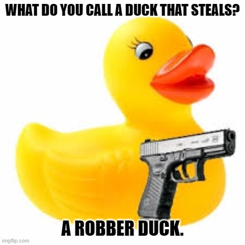 Daily Bad Dad Joke 04/28/2023 | WHAT DO YOU CALL A DUCK THAT STEALS? A ROBBER DUCK. | image tagged in rubber ducky glock | made w/ Imgflip meme maker