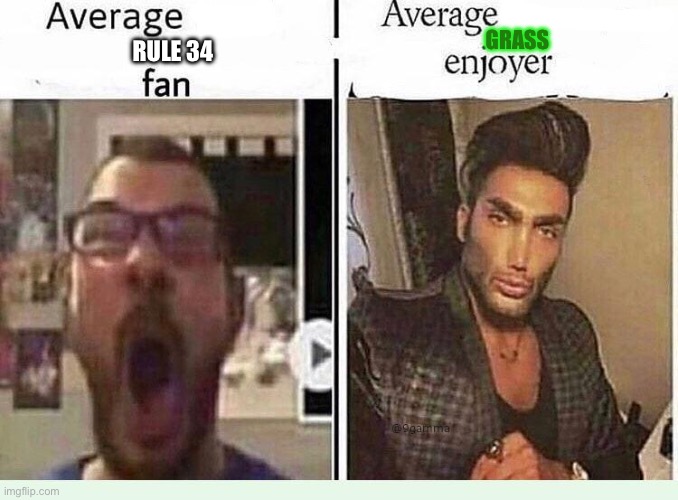 Rule 34 is for neckbeards | GRASS; RULE 34 | image tagged in average blank fan vs average blank enjoyer,rule 34,neckbeard | made w/ Imgflip meme maker