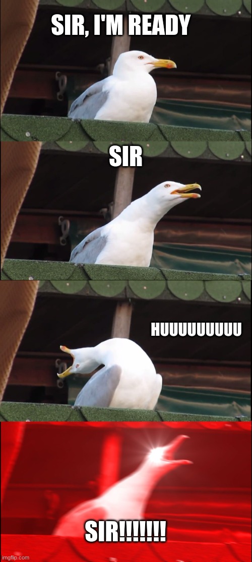 Inhaling Seagull Meme | SIR, I'M READY; SIR; HUUUUUUUUU; SIR!!!!!!! | image tagged in memes,inhaling seagull | made w/ Imgflip meme maker