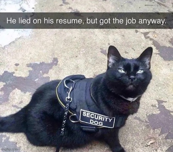 Security dog | made w/ Imgflip meme maker