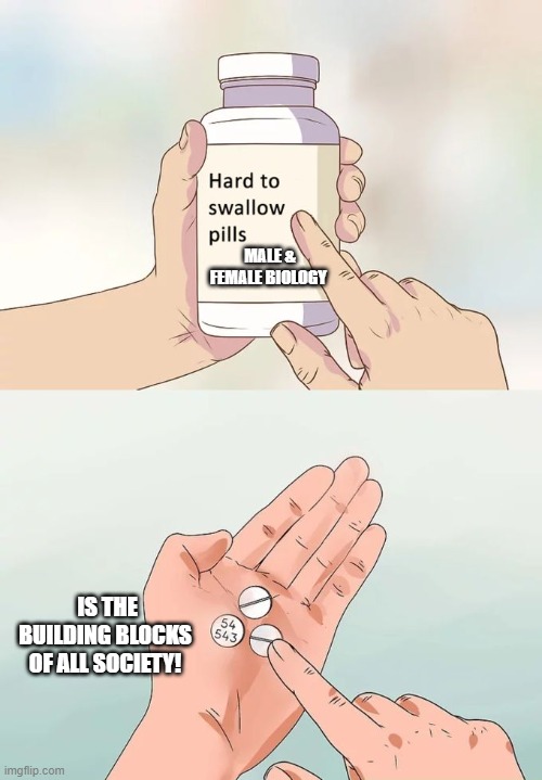 MALE & FEMALE BIOLOGY IS THE BUILDING BLOCKS OF ALL SOCIETY! | image tagged in memes,hard to swallow pills | made w/ Imgflip meme maker