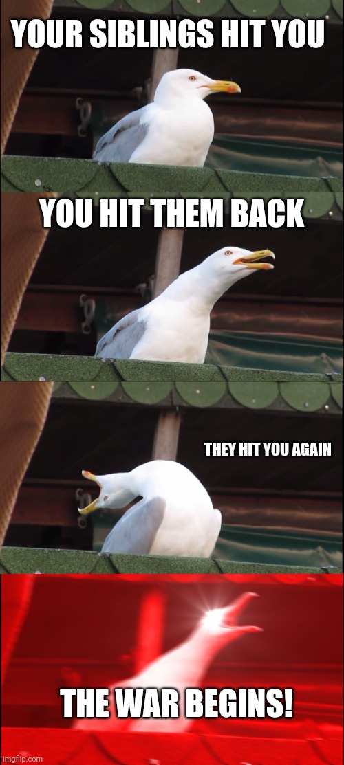 Inhaling Seagull | YOUR SIBLINGS HIT YOU; YOU HIT THEM BACK; THEY HIT YOU AGAIN; THE WAR BEGINS! | image tagged in memes,inhaling seagull | made w/ Imgflip meme maker