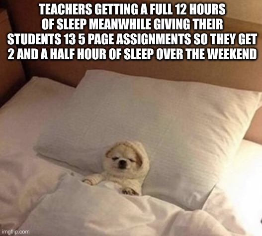 >:( | TEACHERS GETTING A FULL 12 HOURS OF SLEEP MEANWHILE GIVING THEIR STUDENTS 13 5 PAGE ASSIGNMENTS SO THEY GET 2 AND A HALF HOUR OF SLEEP OVER THE WEEKEND | image tagged in dog in bed sleeping | made w/ Imgflip meme maker