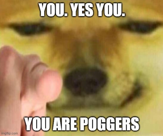 wholesome | YOU. YES YOU. YOU ARE POGGERS | image tagged in cheems pointing at you,yay,cheems | made w/ Imgflip meme maker