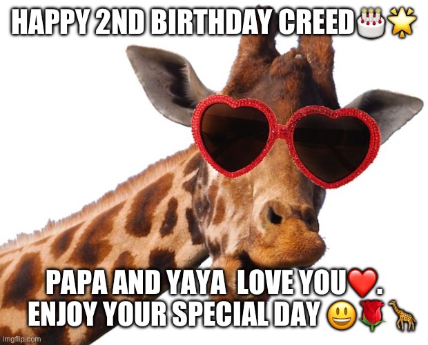 Giraffe in Sunglasses | HAPPY 2ND BIRTHDAY CREED🎂🌟; PAPA AND YAYA  LOVE YOU❤️.    ENJOY YOUR SPECIAL DAY 😃🌹🦒 | image tagged in giraffe in sunglasses | made w/ Imgflip meme maker