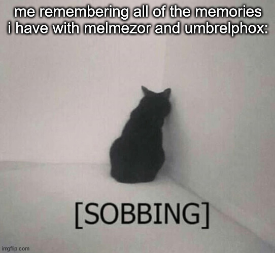 i want to cry now /srs. i wish it would go back to normal... | me remembering all of the memories i have with melmezor and umbrelphox: | image tagged in sobbing cat | made w/ Imgflip meme maker