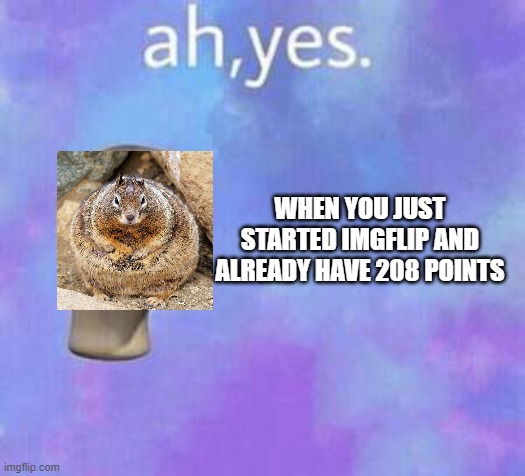 ah yes my favorite fat squirrel | WHEN YOU JUST STARTED IMGFLIP AND ALREADY HAVE 208 POINTS | image tagged in ah yes | made w/ Imgflip meme maker