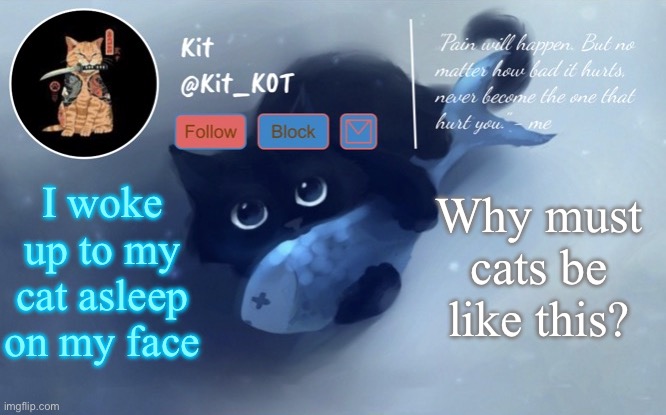 .... | I woke up to my cat asleep on my face; Why must cats be like this? | made w/ Imgflip meme maker