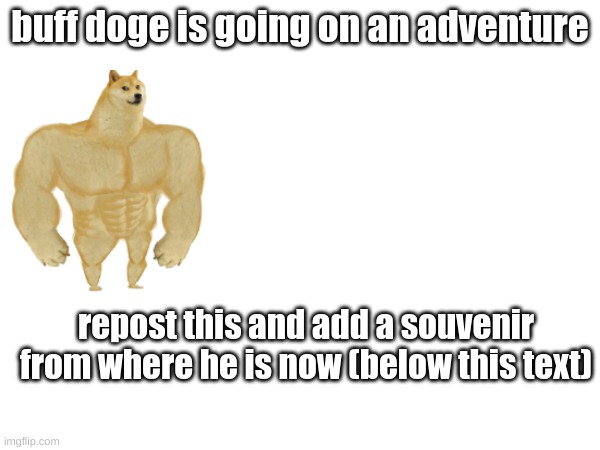 adventure of buff doge | buff doge is going on an adventure; repost this and add a souvenir from where he is now (below this text) | image tagged in memes | made w/ Imgflip meme maker