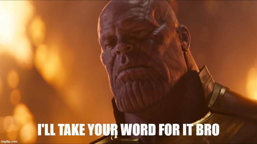 Thanos | I'LL TAKE YOUR WORD FOR IT BRO | image tagged in thanos | made w/ Imgflip meme maker