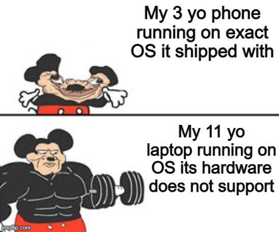 Why phones are like this? | My 3 yo phone running on exact OS it shipped with; My 11 yo laptop running on OS its hardware
does not support | image tagged in buff mokey | made w/ Imgflip meme maker