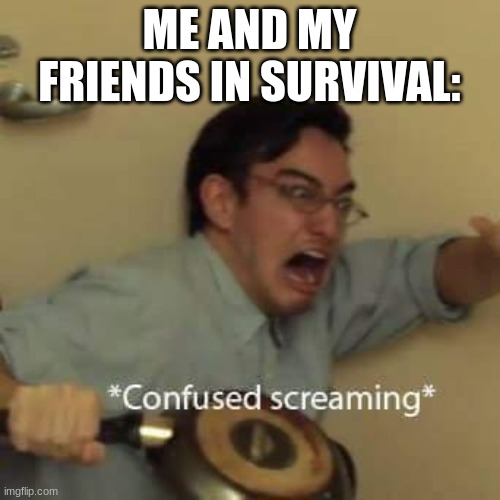 filthy frank confused scream | ME AND MY FRIENDS IN SURVIVAL: | image tagged in filthy frank confused scream | made w/ Imgflip meme maker