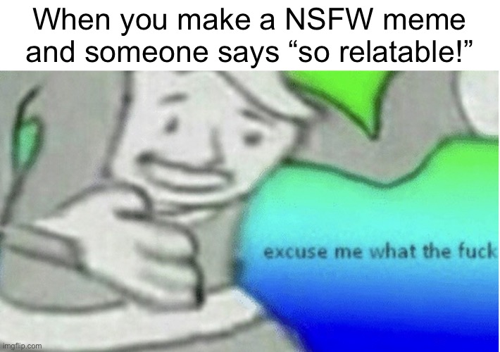 Meme #920 | When you make a NSFW meme and someone says “so relatable!” | image tagged in excuse me but wtf,fallout,memes,nsfw,hold up,funny | made w/ Imgflip meme maker