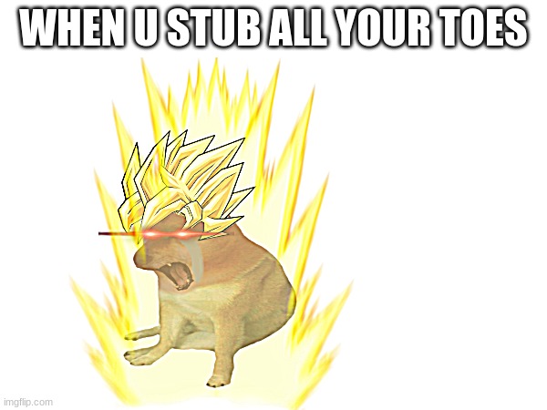 toes | WHEN U STUB ALL YOUR TOES | image tagged in ultra super rage cheems | made w/ Imgflip meme maker