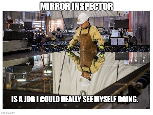 Mirror Inspector | MIRROR INSPECTOR; IS A JOB I COULD REALLY SEE MYSELF DOING. | image tagged in memes,mirrors,eyeroll | made w/ Imgflip meme maker