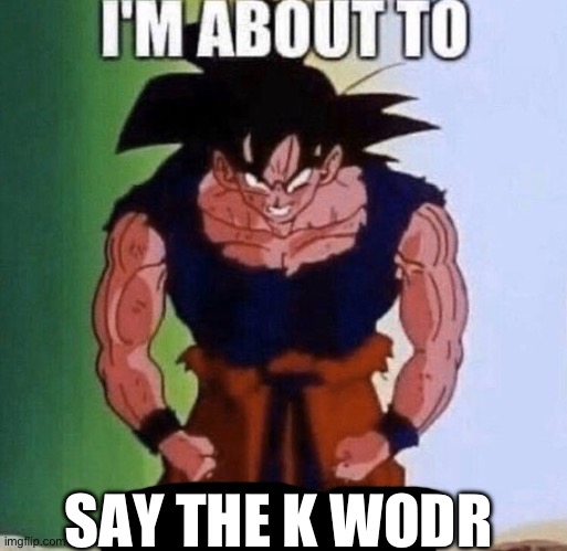 I'm about to get racist | SAY THE K WODR | image tagged in i'm about to get racist | made w/ Imgflip meme maker